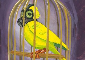 Canaries in a DC coal mine