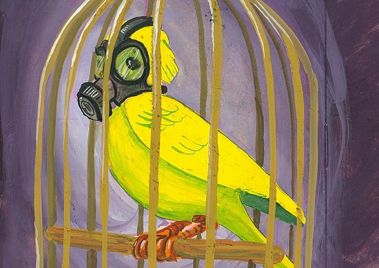 Canaries in a DC coal mine